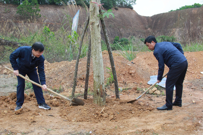 Ngay trong ngày đầu phát động Tết trồng cây, các địa phương trong tỉnh trồng khoảng 360 ha rừng và hàng nghìn cây phân tán các loại. Ảnh: Thanh Tiến.