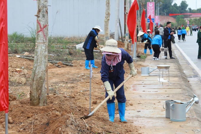 Năm 2025, thành phố Yên Bái phấn đấu trồng 15.000 cây xanh phân tán. Ảnh: Thanh Tiến.