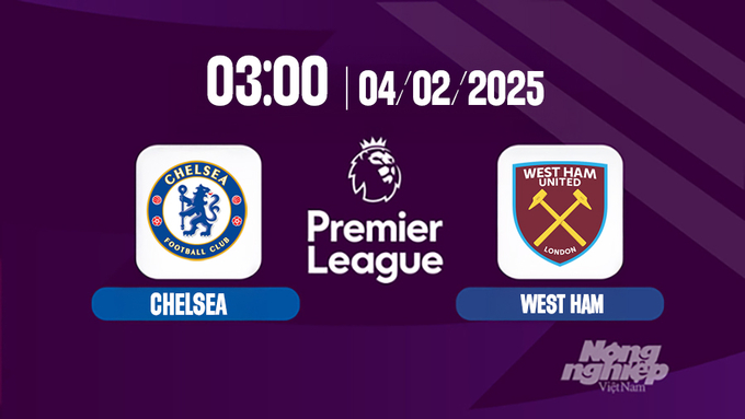 Trực tiếp bóng đá Chelsea vs West Ham, Ngoại hạng Anh, 03h00 hôm nay 4/2/2025