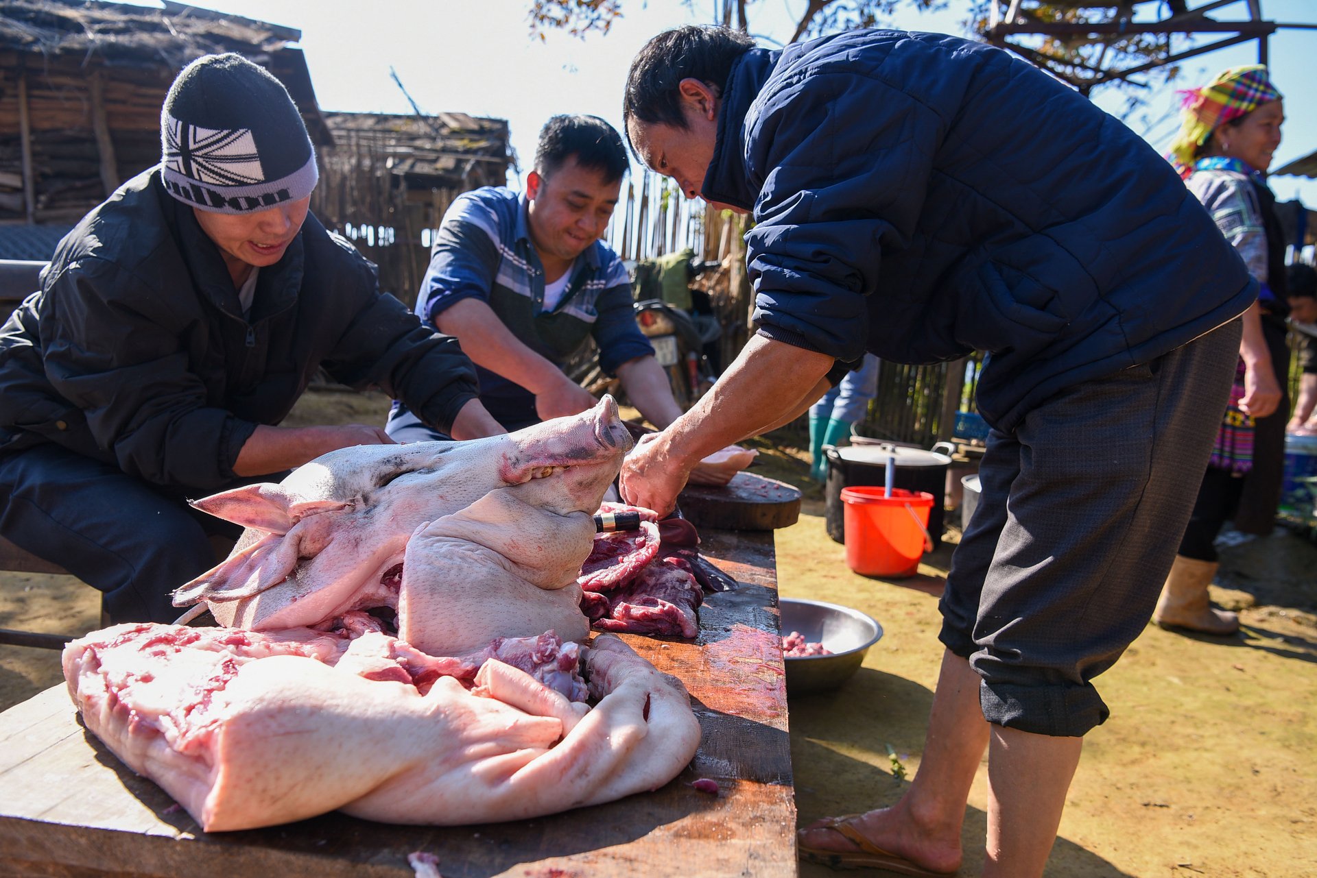 Cảnh mổ lợn Tết ở nhà ông Giàng Là Chơ. Ảnh: Dương Đình Tường.