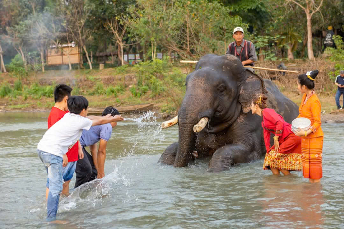 Các tour du lịch được xây dựng thời gian linh động, giúp du khách thuận lợi vừa tham quan du lịch vừa tham gia Lễ hội Cà phê Buôn Ma Thuột 2025. Ảnh: TL.