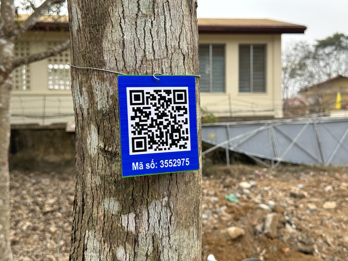 Mỗi cây trồng sẽ được gắn mã QR Code để tiện theo dõi và chăm sóc. Ảnh: Quang Linh.