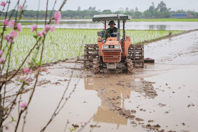 Người dân các địa phương trong tỉnh đang nô nức xuống đồng sản xuất vụ xuân.