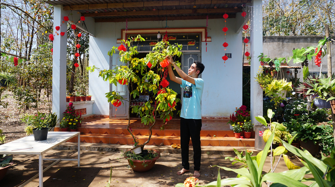 Anh Đại trang hoàng nhà cửa đón Xuân Ất Tỵ 2025. Ảnh: Trần Trung.