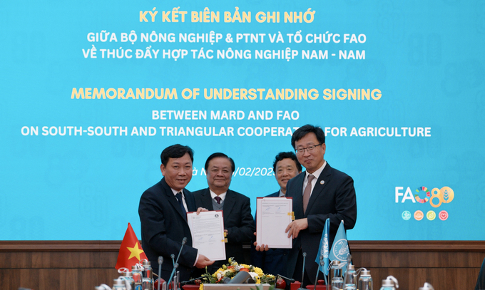 The MARD and FAO signed a Memorandum of Understanding to promote common goals in the South-South cooperation and tripartite cooperation mechanisms. Photo: Quynh Chi. 