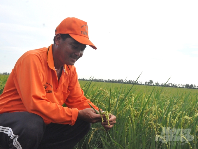 Anh Nguyễn Thanh Tuấn được mệnh danh là nông dân sản xuất lúa nhiều nhất vùng Tứ giác Long Xuyên. Ảnh: Trung Chánh.