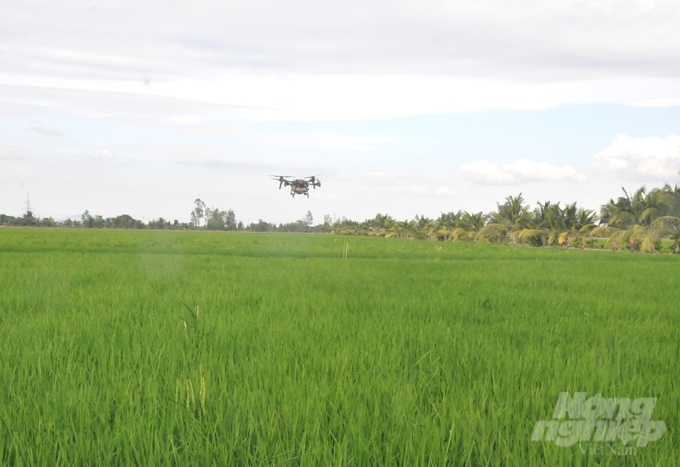 Với 500ha đất lúa, anh Tuấn chia thành từng ô và ứng dụng cơ giới hóa vào sản xuất. Ảnh: Trung Chánh.