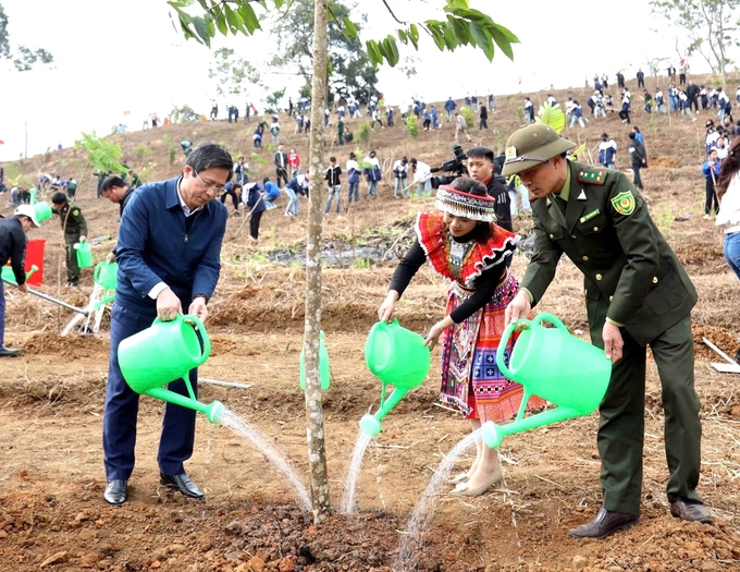 Tết trồng cây đã lan tỏa mạnh mẽ phong trào trồng và phát triển rừng ở Tuyên Quang. Ảnh: Đào Thanh.