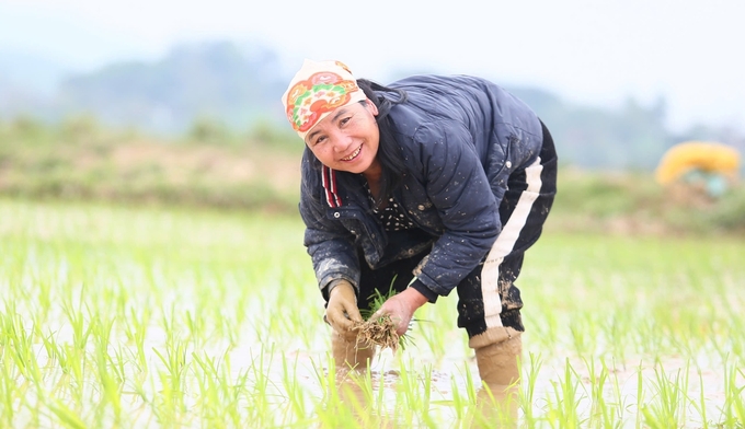 Nét rạng ngời thể hiện rõ trên từng khuôn mặt. Ảnh: Ngọc Linh.