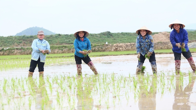 Nông dân Nghệ An hồ hởi xuống đồng. Ảnh: Ngọc Linh.