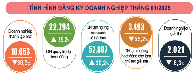 Một số thống kê về tình hình doanh nghiệp trong tháng đầu năm 2024. Nguồn: GSO