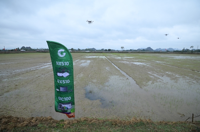 Trình diễn đồng ruộng về giải pháp cơ giới hóa, sử dụng drone phun thuốc bảo vệ thực vật chính xác, tiết kiệm. Ảnh: Tùng Đinh. 