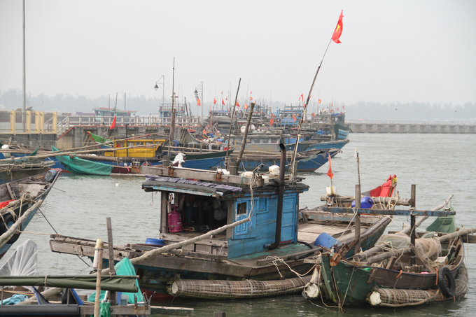 Cảng cá Thuận An là cảng loại 2, đủ điều kiện cho tàu cá xa bờ cập cảng. Ảnh: Công Điền.