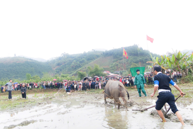 Đại diện chính quyền địa phương thực hiện việc cày ruộng đầu xuân. Ảnh: Triệu Pham.