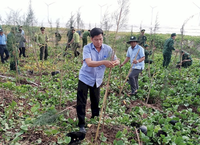 Năm nay, tỉnh Trà Vinh phấn đấu hoàn thành chỉ tiêu trồng 2,1 triệu cây xanh theo kế hoạch đặt ra. Ảnh: HT. 