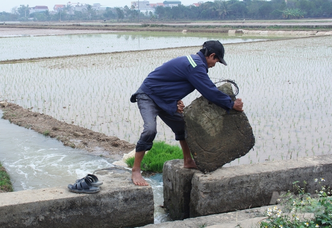 Người dân tại các địa phương khẩn trương đưa nước vào đồng ruộng. Ảnh: Trung Quân.