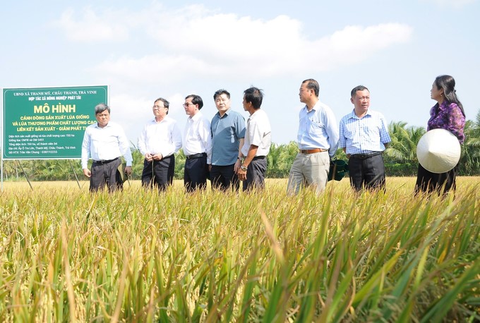 Deputy Minister of Agriculture and Rural Development Tran Thanh Nam (far left) surveyed at Phat Tai Agricultural Cooperative (Chau Thanh district, Tra Vinh province). Photo: Kim Anh.