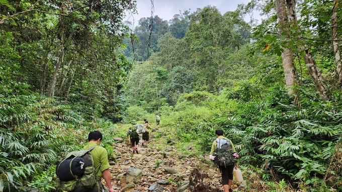 XuanLien National Park.