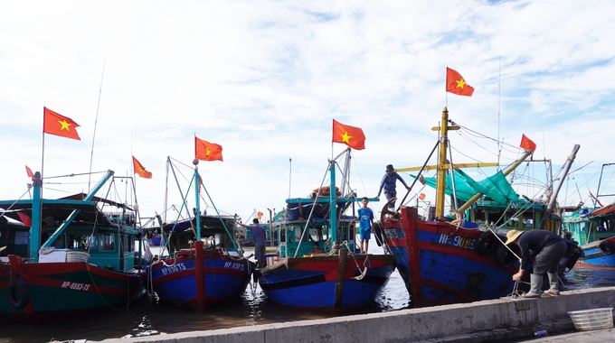 MARD requests the chairpersons of the People's Committees of coastal provinces and centrally governed cities to direct and ensure that local agencies and departments strictly implement administrative violation handling in the fisheries sector, particularly addressing violations related to IUU. Photo: Hong Tham.