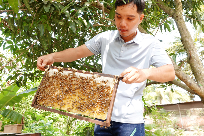 Dù còn rất trẻ, anh Trọng đã mạnh dạn tiên phong xây dựng và phát triển mô hình nuôi ong lấy mật. Ảnh: Lê Hoàng Vũ.