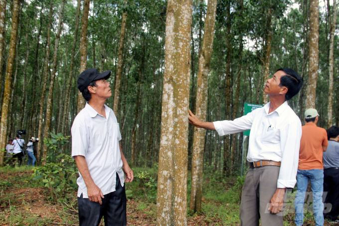 Liên kết sản xuất thúc đẩy kinh tế phát triển. Ảnh: Võ Dũng.