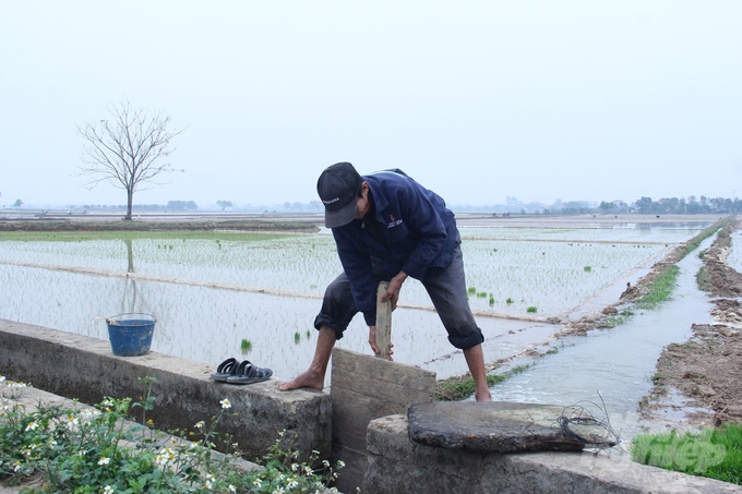 Nông dân các tỉnh phía Bắc tranh thủ những ngày thời tiết ấm, tích cực đưa nước vào ruộng để làm đất và gieo cấy lúa vụ đông xuân. Ảnh: Trung Quân.