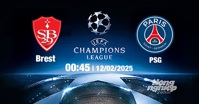 Trực tiếp bóng đá Brest vs PSG, Cúp C1 Châu Âu, 00h45 ngày 12/2/2025