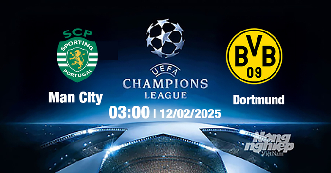 Trực tiếp bóng đá Sporting Lisbon vs Dortmund, Cúp C1 Châu Âu, 03h00 ngày 12/2/2025