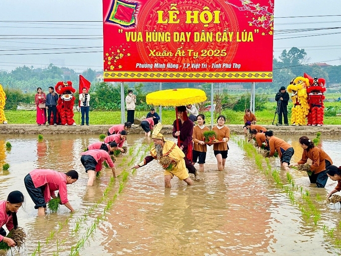 Lễ hội Vua Hùng dạy dân cấy lúa Xuân Ất Tỵ. Ảnh: PT.