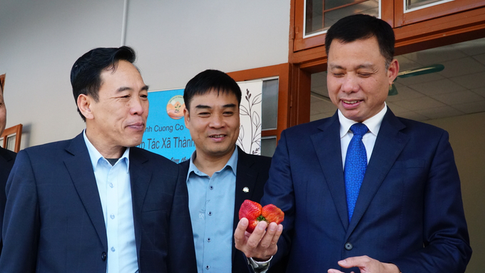 Ông Nguyễn Thành Công (ngoài cùng bên phải), Phó Chủ tịch UBND tỉnh Sơn La bày tỏ niềm vui với chất lượng trái dâu tây của huyện Mai Sơn. Ảnh: Đức Bình.