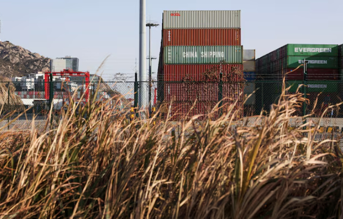 Shipping containers are stacked at Yangshan Port outside of Shanghai, China, February 7, 2025. Photo: REUTERS.