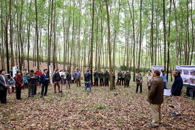 Trung tâm Bảo tồn Thiên nhiên Việt tổ chức hội thảo rừng keo gỗ lớn tại xã Kim Thủy cho đối tượng là người trồng rừng. Ảnh: V. M.