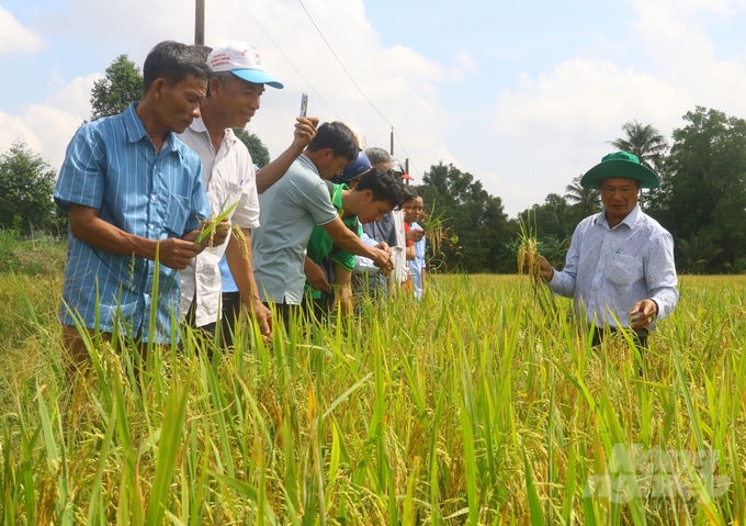 Các mô hình thí điểm đã đem lại hiệu quả tích cực, giảm chi phí vật tư đầu vào, giảm lượng phát thải ra môi trường, hạ giá thành và tăng lợi nhuận cho nhà nông. Ảnh: Trung Chánh.