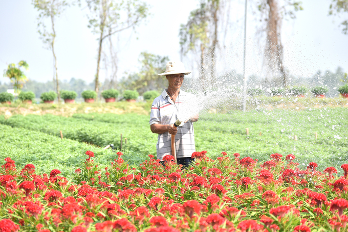 Khuyến cáo nhà nông cần kiểm tra độ mặn trước khi lấy nước. Ảnh: Minh Đảm.