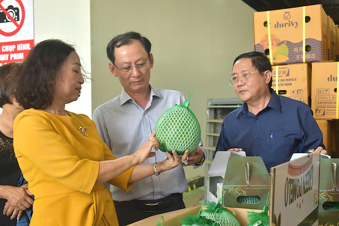 Green-skinned pomelo is one of Ben Tre Province’s key agricultural exports. Photo: Minh Dam.