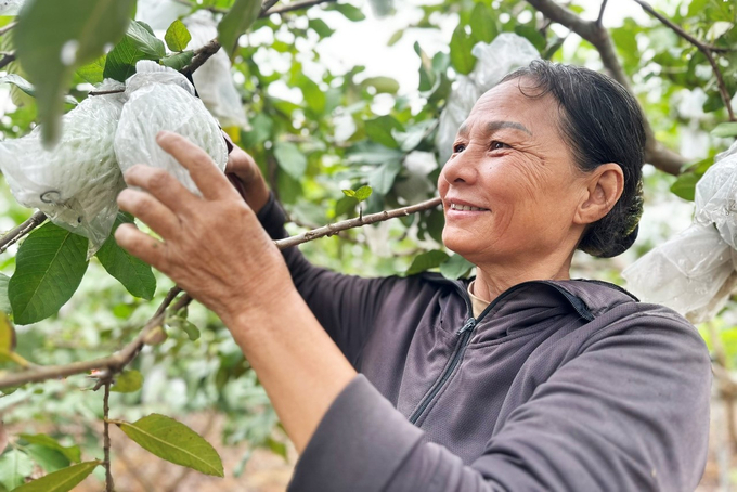 Nông nghiệp đóng vai trò đảm bảo sinh kế cho người dân toàn huyện. Ảnh: T.Nga.