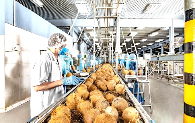 Coconut industry generates over 516 million USD for Ben Tre Province.