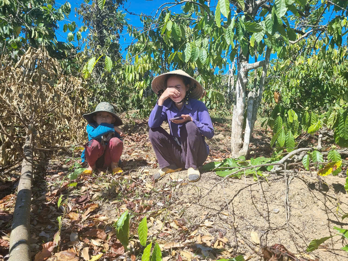 Vườn cây bị chặt phá khiến cuộc sống gia đình chị Thanh ngày càng khó khăn. Ảnh: Tuấn Anh.