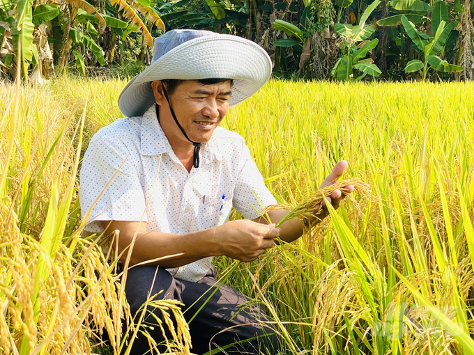 Can Tho City Department of Agriculture and Rural Development plans to further replicate this model in many other districts. Photo: Le Hoang Vu.