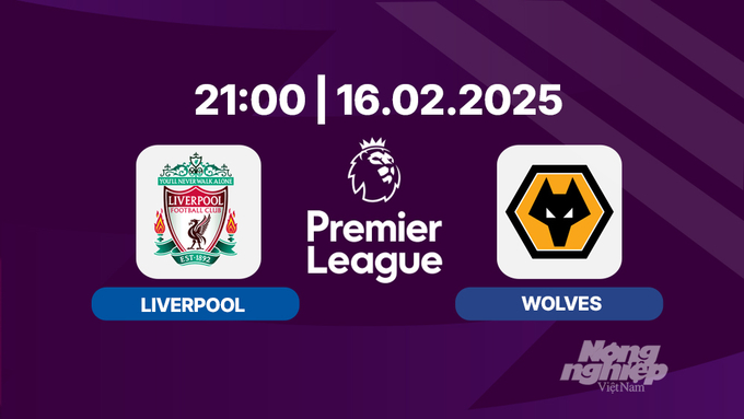 Trực tiếp bóng đá Liverpool vs Wolves, Ngoại hạng Anh, 21h00 hôm nay 16/2/2025