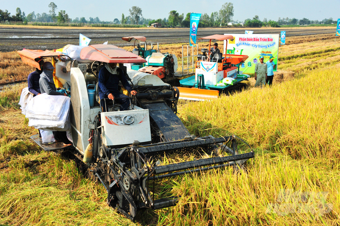 A high-quality, low-emissions rice model is implemented at Tien Dung Agricultural Cooperative, Thanh Phu commune, Co Do district, Can Tho city. Photo: Le Hoang Vu.