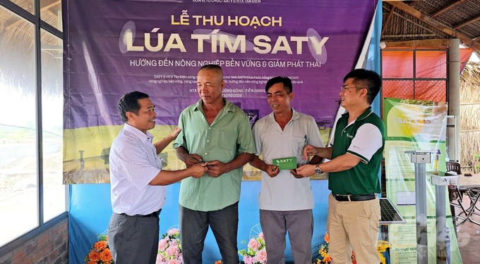 The typical farmers in the first purple rice-growing model who applied well according to the process of sparse sowing for high productivity were awarded by the company in the harvest of purple rice at the beginning of the lunar new year. Photo: Minh Sang.