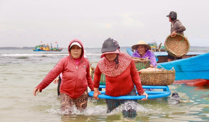 Ngoài những người trực tiếp đánh bắt, mùa ruốc cũng mang đến nguồn thu nhập khá cho nhiều phụ nữ trên bờ. Những người làm nghề vận chuyển ruốc thuê sẽ kiếm được 200.000 đến 300.000 đồng mỗi ngày.