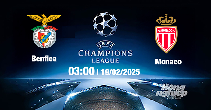 Trực tiếp bóng đá Benfica vs Monaco, Cúp C1 Châu Âu, 03h00 ngày 19/2/2025