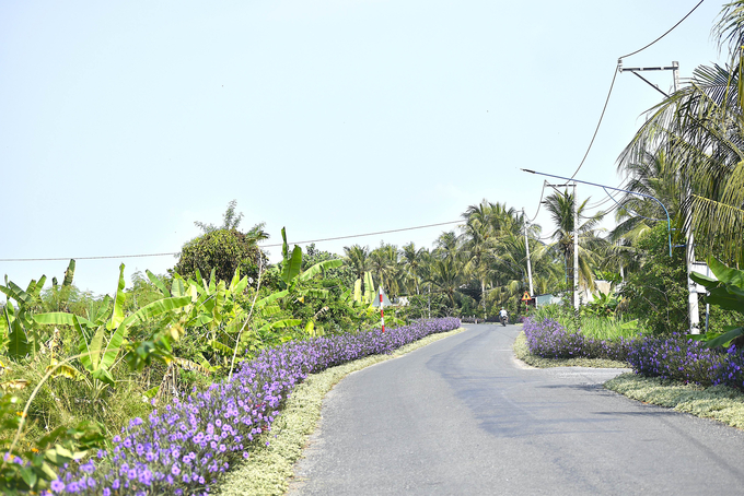 Tuyến đường hoa nông thôn mới qua ấp Bình Trung, xã Thạnh Nhựt, huyện Gò Công Tây, tỉnh Tiền Giang. Ảnh: Minh Đảm.