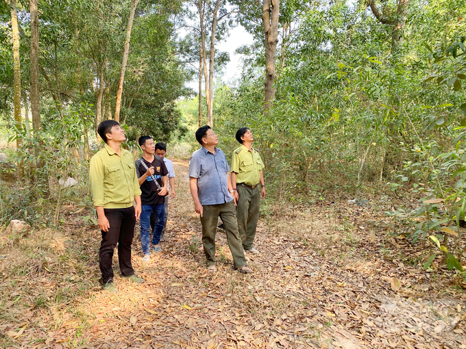 Hiện nay vùng Bảy Núi đang vào đợt cao điểm nắng nóng, lực lượng kiểm lâm đã bố trí ứng trực 24/24 giờ tại các khu vực rừng có nguy cơ cháy cao nhằm đảm bảo phát hiện và xử lý kịp thời khi có sự cố xảy ra. Ảnh: Lê Hoàng Vũ.