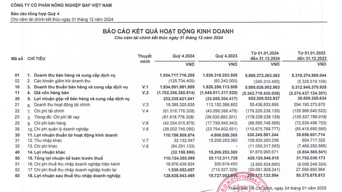 Báo cáo kết quả hoạt động kinh doanh của Công ty CP Nông nghiệp BAF Việt Nam.