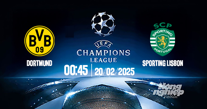 Trực tiếp bóng đá Dortmund vs Sporting, Cúp C1 Châu Âu, 00h45 ngày 20/2/2025