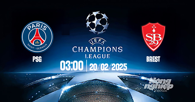 Trực tiếp bóng đá PSG vs Brest, Cúp C1 Châu Âu, 03h00 ngày 20/2/2025