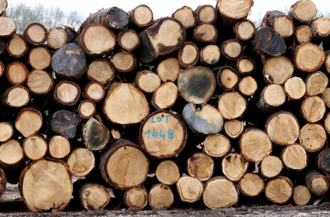 Chopped oak trunks are seen at the Margaritelli Fontaines sawmill in Burgundy, France, April 10, 2018. 